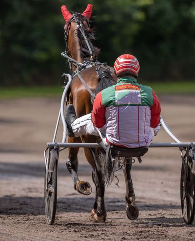 Opłata sezonowa Ravirata 2024