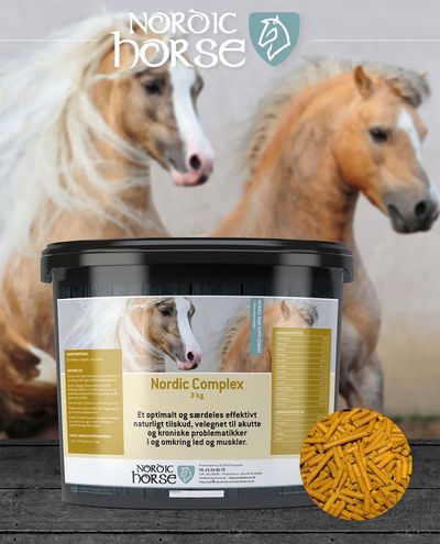 Kompleks (1 kg dziennie) Nordic