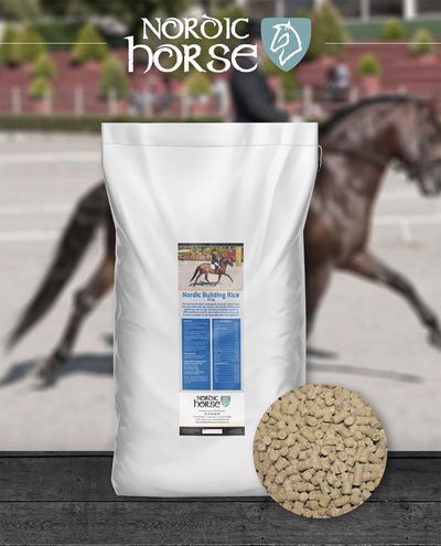 Building Rice (20kg) Nordic