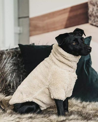 Teddy Fleece Dog Sweater (M-XL)