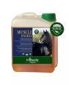 Muscle Energy Boost (2,5l dziennego produktu)