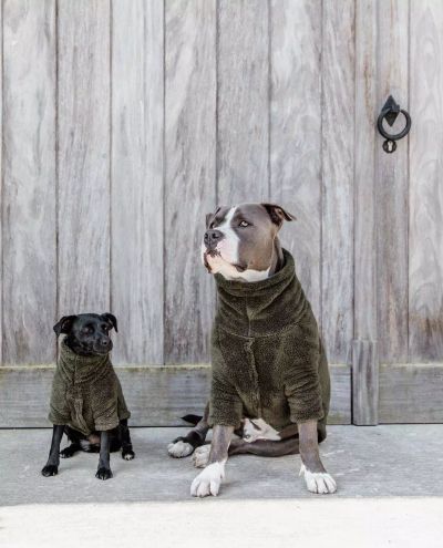 Teddy Fleece Dog Sweater Pine Green (XL)