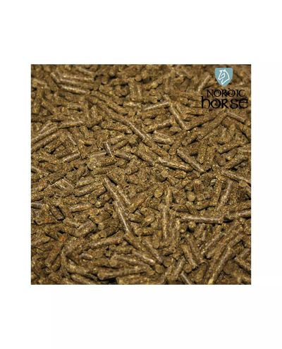Gastric Zero (15 kg dziennie) Nordic