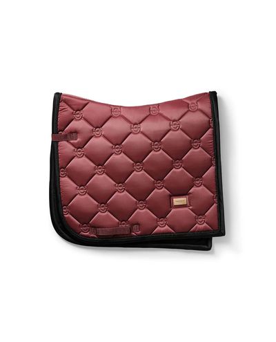 School Hood Soft Rouge (Full)