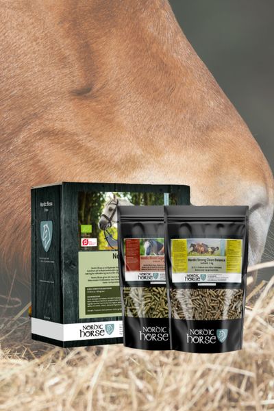 Pakiet sprężyn Nordic Horse większy